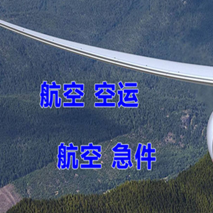 惠州航空托运快递-选东方航空和上海航空