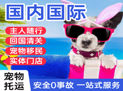 惠州航空托运国际宠物托运 【国